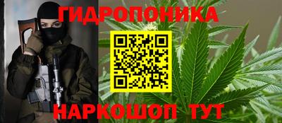 прущие грибы Рузаевка