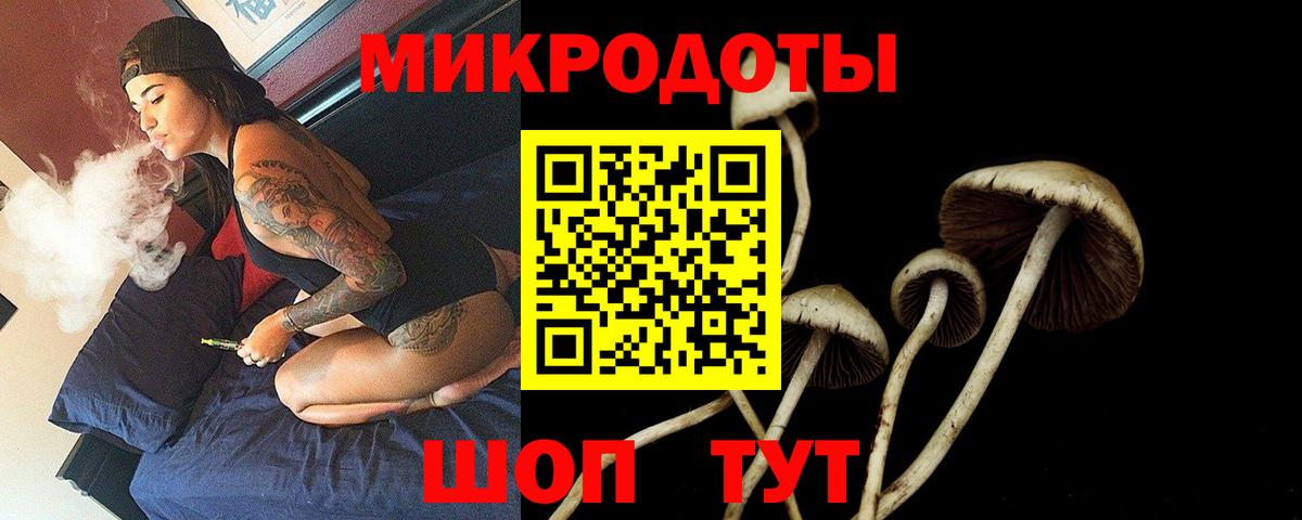 Псилоцибиновые грибы Psilocybine cubensis  Псилоцибиновые грибы ЛСД  Вход с VPN  Саратов 